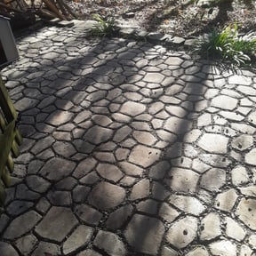 Leaf Removal by Alpha Lawn Maintenance  reviewed on September 17, 2025