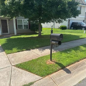 yard care by Ariana Lawn Care reviewed on August 21, 2025