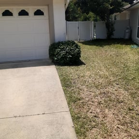 Bush Trimming by K Sisters Lawncare reviewed on August 17, 2025
