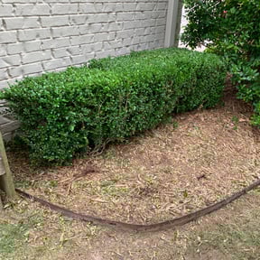 Bush Trimming by First Responders Lawn and Landscape LLC reviewed on August 21, 2025