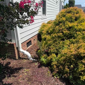 Flower Bed Weeding by Bay Land &amp; Trees Llc. reviewed on July 10, 2026
