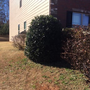 Bush Trimming by Parker Landscape &amp; Maintenance reviewed on March 31, 2023