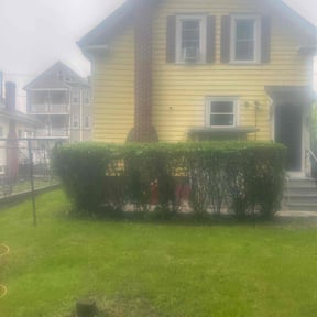 Bush Trimming by Guerrero's Lawn Service reviewed on August 19, 2025
