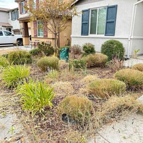 Bush Trimming by Discount Mowing reviewed on October 20, 2025