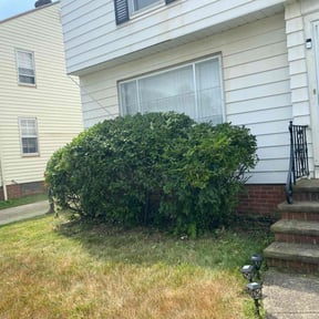 Bush Trimming by Jds Landscaping Services LLC reviewed on August 21, 2025