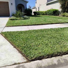 yard maintenance by Adan's Hauling reviewed on August 18, 2025