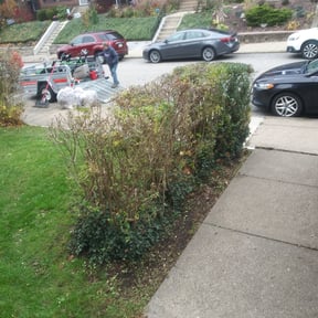 Bush Trimming by D&D Landscaping reviewed on August 18, 2025