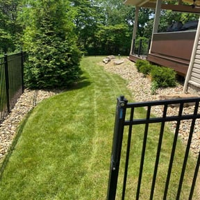landscape maintenance by Sophie's lawn care reviewed on August 15, 2025