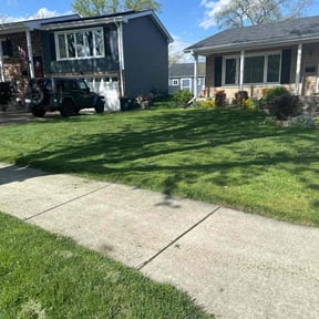 Long Grass Cleanup by Jrb landscaping & snowplowing reviewed on August 21, 2025