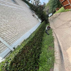 Bush Trimming by Lieutenant Lawn Maintenance reviewed on August 16, 2025