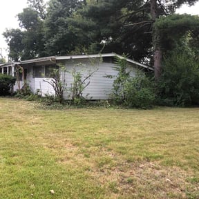 Bush Trimming by Shaw Bennett Contractor reviewed on November 24, 2025