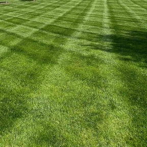 yard service by TLG LAWN SERVICE reviewed on August 18, 2025