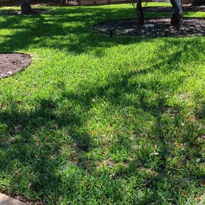lawn care by Green River Landscape, LLC reviewed on August 21, 2025