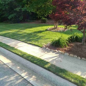 lawn care by Loves Landscaping reviewed on July 5, 2025