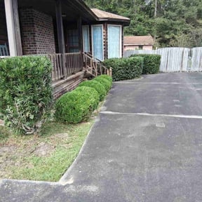 Bush Trimming by William McGuire lawn care reviewed on November 10, 2025