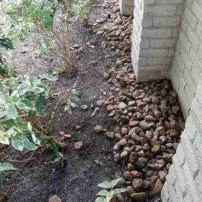 Leaf Removal by Crews Lawn Care reviewed on October 3, 2025