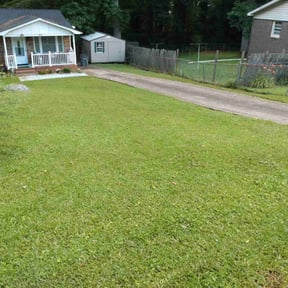 lawn care by Morris Landscaping Services reviewed on August 9, 2023