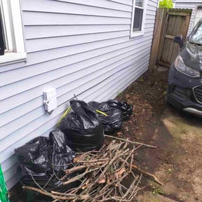 Leaf Removal by Home Care by The Beach LLC reviewed on August 28, 2026