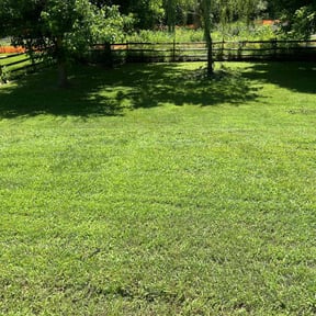 landscaping by Tegridy Mushrooms LLC reviewed on August 20, 2025