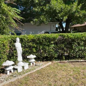 Bush Trimming by K.G.M SERVICES LLC. reviewed on October 24, 2025