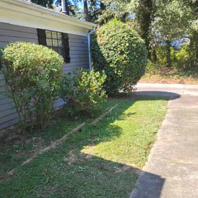 Bush Trimming by Volvo reviewed on November 10, 2025