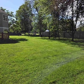 yard care by Affordable Excellence Lawn Care reviewed on August 19, 2025