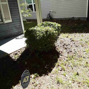 Bush Trimming by Arose landscaping reviewed on August 19, 2025