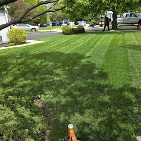 landscaping services by Yanez Brothers Landscaping reviewed on May 16, 2024