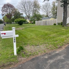 grass cutting by Braddy family holdings landscaping reviewed on October 5, 2023