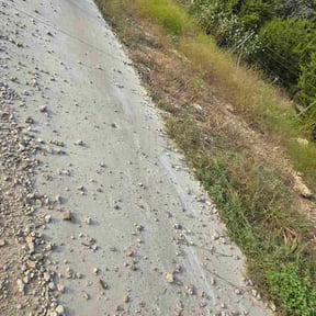 Bush Trimming by Andy&#039;s Lawn Services reviewed on October 24, 2025