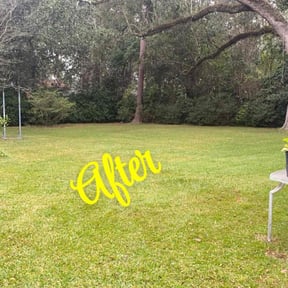 gardening service by Gillmore Greens lawn care and tree removal reviewed on August 21, 2025