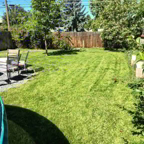 gardening service by Puly's Mower reviewed on August 15, 2025