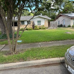 landscape maintenance by Green Day Lawn Service reviewed on April 23, 2024