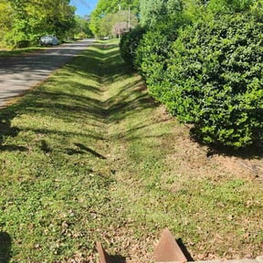 lawn care by PS and CS Services Unlimited reviewed on May 15, 2024