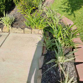 Flower Bed Weeding by Bobby landscaping s. reviewed on November 23, 2025