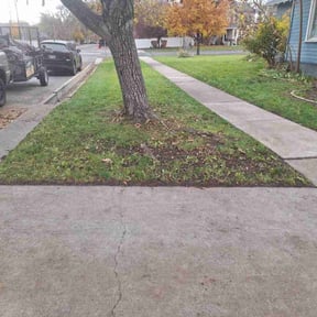 Leaf Removal by LOUS LAWN CUTS reviewed on November 21, 2025