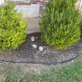 Flower Bed Weeding by Lee reviewed on August 19, 2025