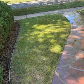 Flower Bed Weeding by Dodds mowing reviewed on June 16, 2026