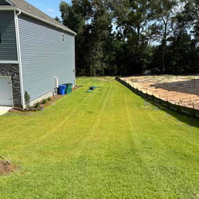 grass maintenance by All South Lawn Services reviewed on October 29, 2024