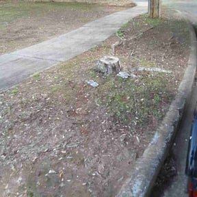 Flower Bed Weeding by Fred Peyronel reviewed on November 22, 2025