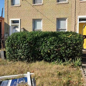 Bush Trimming by Outlaw oasis landscape reviewed on October 19, 2025