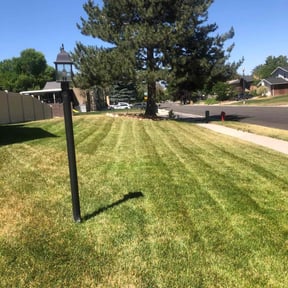 lawn care services by Freshcut Lawn &amp; Tree reviewed on March 11, 2024
