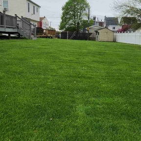 yard service by Retana Lawnscaping reviewed on August 15, 2025