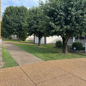 residential landscaping by Under Cut Home and Lawn Services reviewed on August 17, 2025