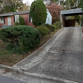 Bush Trimming by Capitol Lawn Company reviewed on August 20, 2025