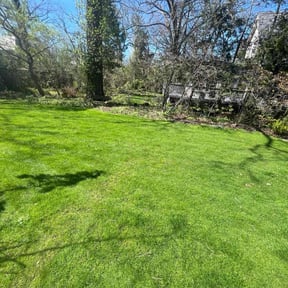 lawn service by PFD property maintenance reviewed on November 15, 2023