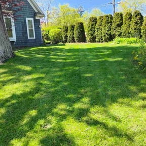 yard work by Lawn & Order reviewed on August 21, 2025