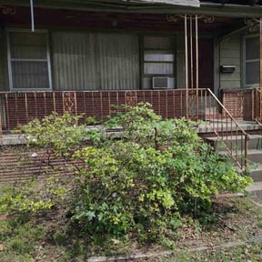 Bush Trimming by AV Lawn Care reviewed on August 16, 2025