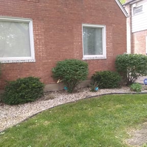Bush Trimming by Mowing Maxx Lawn Care Services reviewed on August 17, 2025