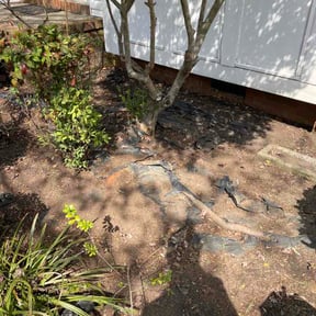 Flower Bed Weeding by EW Lawn Service reviewed on March 20, 2026